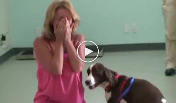 Хозяйка увидела что её парализованный пёс может ходить