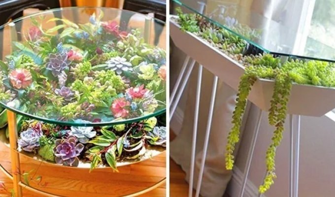 25 Tables Featuring Living Succulent Gardens (26 Photos)