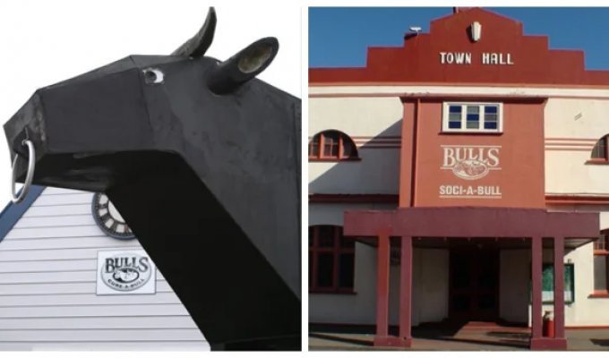 Bulls is a New Zealand city of bulls and puns (14 photos + 1 video)