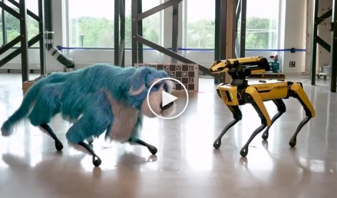 Boston Dynamics показала танцюючого робота-пса в костюмі собаки