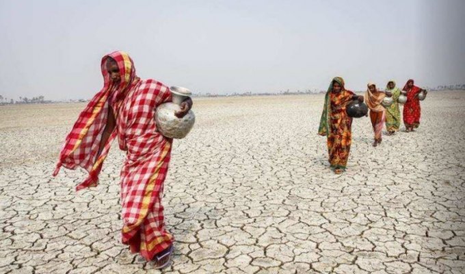 Выжить любой ценой: в Бангладеш очень суровый климат (17 фото)