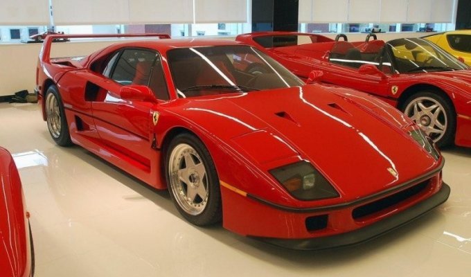 Самая сумасшедшая частная коллекция спорткаров Ferrari и Porsche (5 фото + 1 видео)