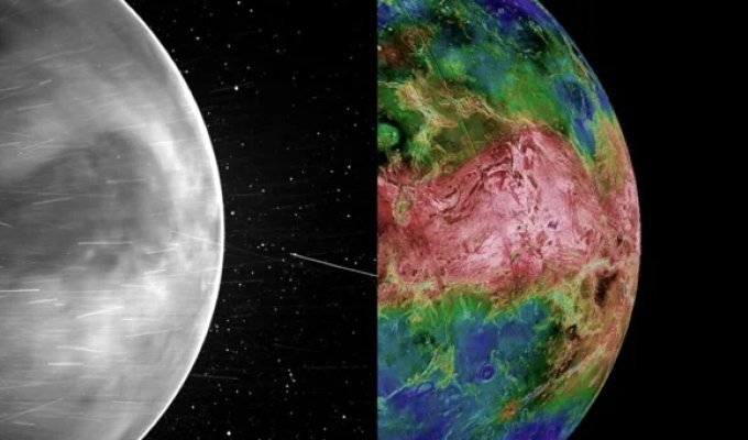 На Венере обнаружены возможные признаки жизни (5 фото)