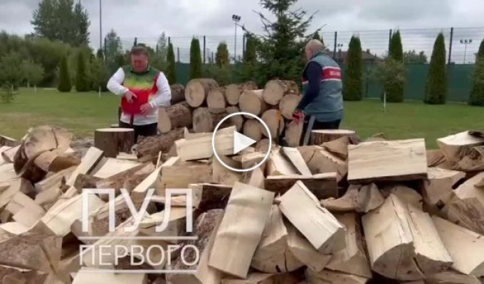Самопровозглашенный президент Беларуси пошел рубить дрова, чтобы «Европа не замерзла»