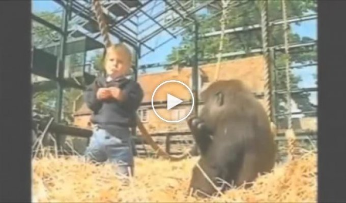 Девочка играется с гориллой