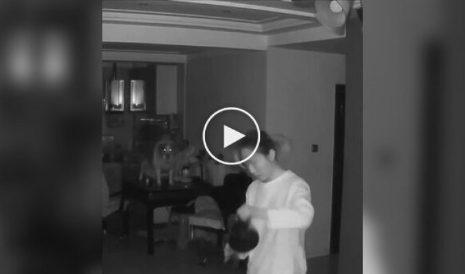 Пес напугал свою хозяйку