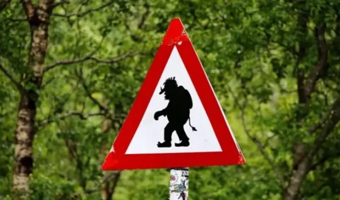 The Strangest Road Signs in the World (9 photos)