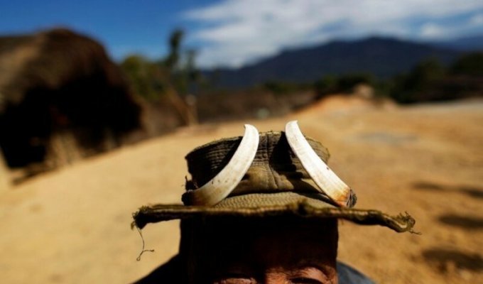 Охота людей народности нага в Мьянме (22 фото)