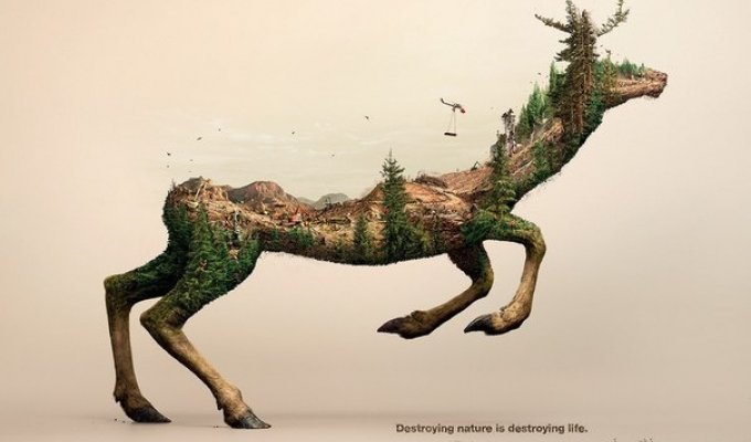 Проект Destroying nature is destroying life (3 фото)