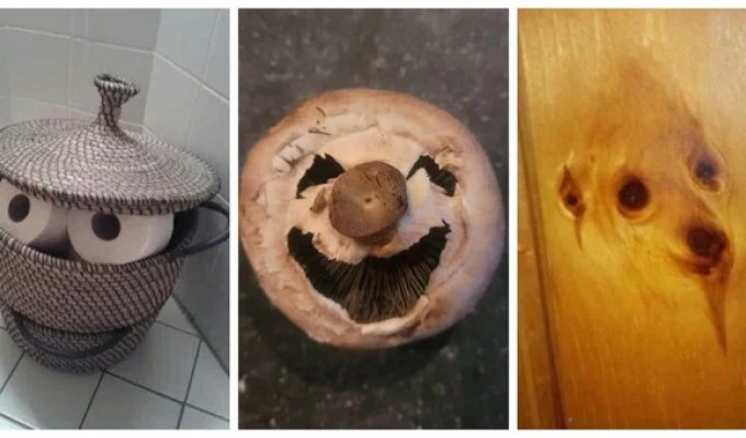 30 photos that will blur the line between reality and imagination (31 photos)
