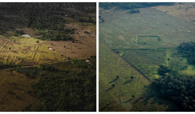 Древние сооружения доколумбовых времён, обнаруженные в лесах Амазонки (12 фото)