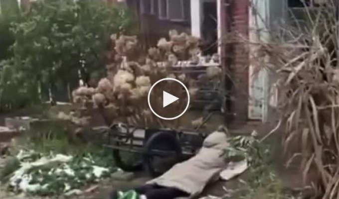 Затащить жену в дом можно только волоком на ледянке