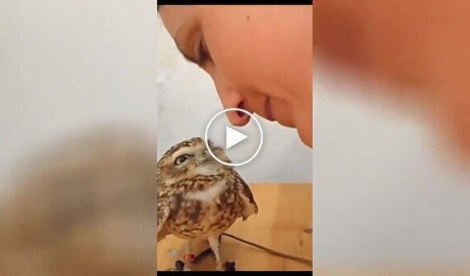 Feathered lover of affection and kisses