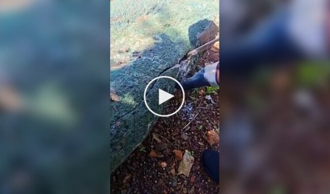 Кладоискателям улыбнулась удача