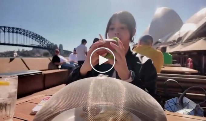 Дівчина показала, навіщо в кафе використовують сітчасті кришки для їжі