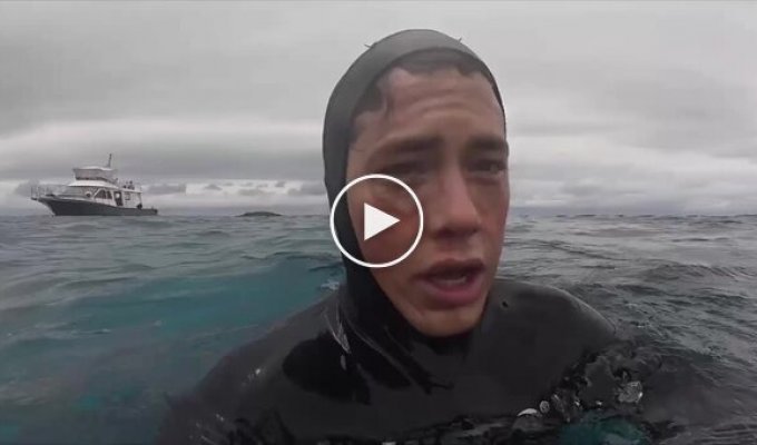 A turtle "caught up" with a diver in the Pacific Ocean and unexpectedly hit him