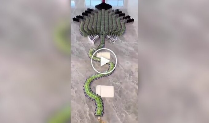 Залипательное видео