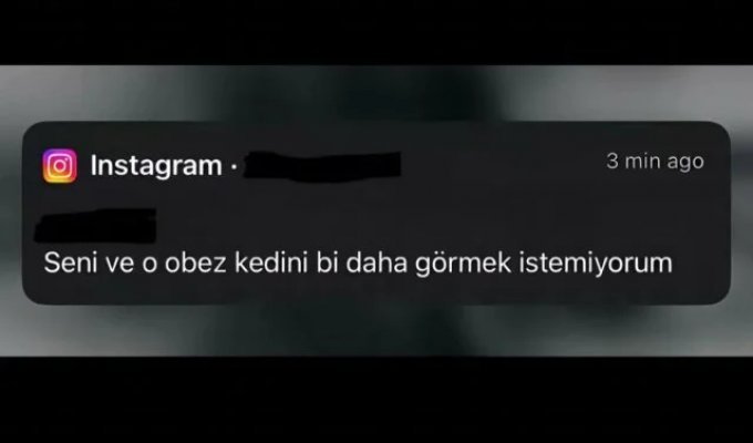 A guy posted the last message from his ex-girlfriend (5 photos)