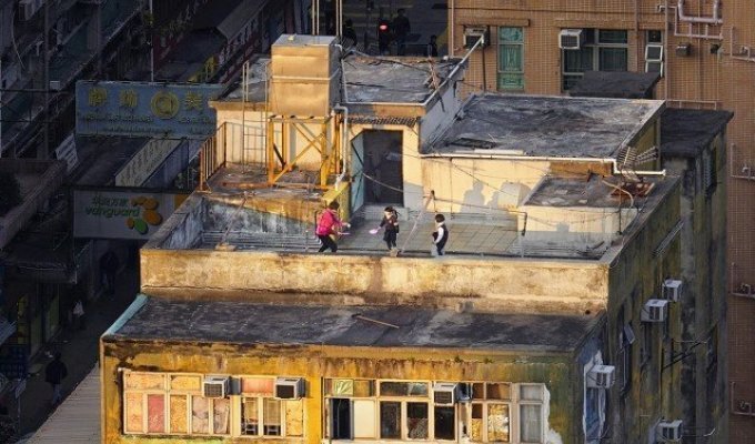 Бетонные истории: Фотограф показал, чем занимаются жители на крышах Гонконга (13 фото)