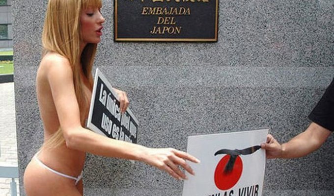  Протест проти ловли китов у японского посольства (4 фото)