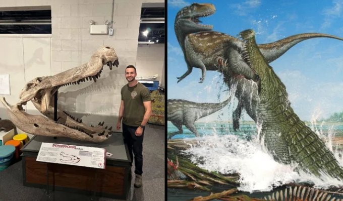 Дейнозух: Пожиратель динозавров. Самый страшный крокодил в истории Земли (12 фото)