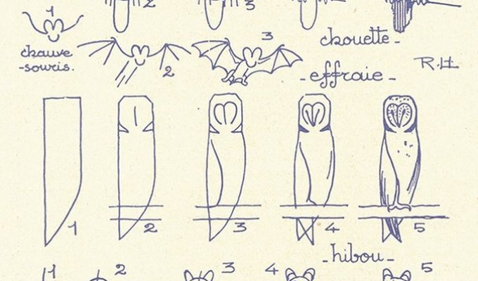 11 простых схем, которые помогут научить ребенка рисовать (11 фото)