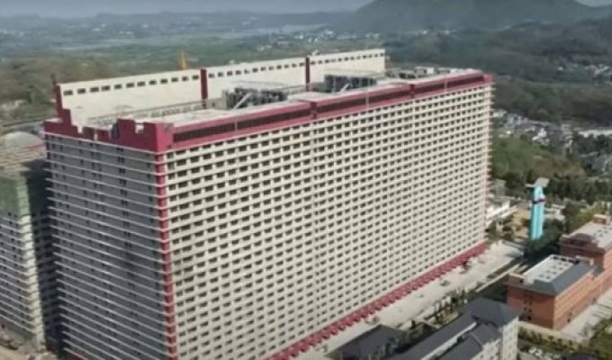 In China, built a skyscraper for pigs (6 photos)