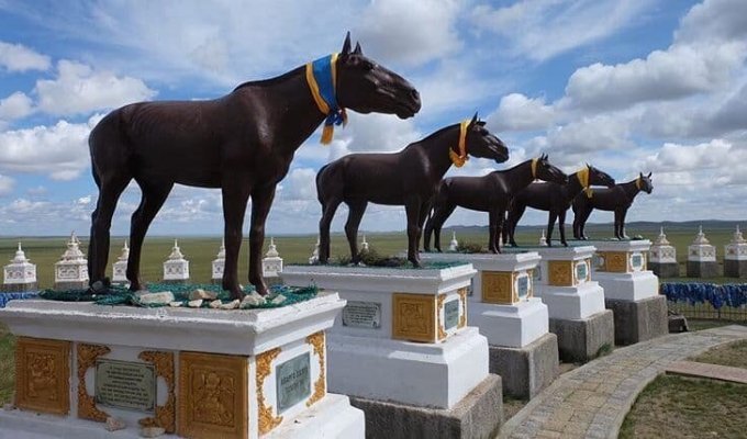 How high-ranking horses are buried in Mongolia (7 photos)