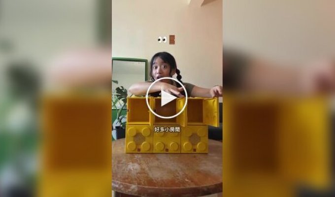What did she look like LEGO audio system