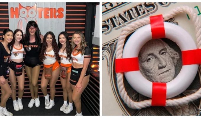 Спасибо курсу на толерантность: компания Hooters объявила о своём банкротстве (5 фото)