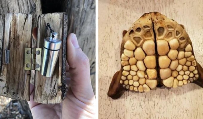 35 times when the Internet helped people identify their unusual finds (36 photos)