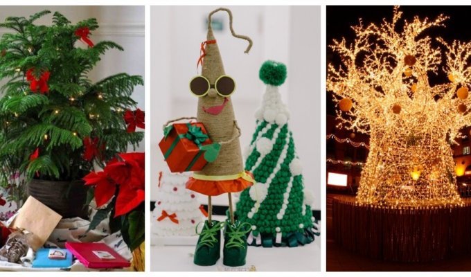 New Year and Christmas trees in different countries (13 photos)