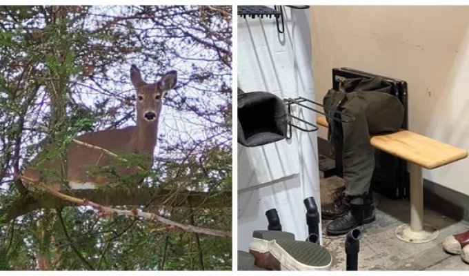 20 примеров обычной реальности, трансформирующейся в иллюзию (21 фото)