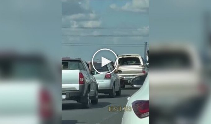 Car video (short videos). Issue 24