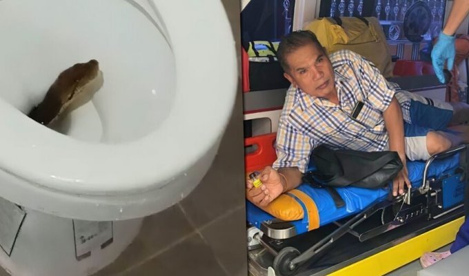 A python hiding in a toilet bit a Thai man on the buttocks (3 photos + 1 video)