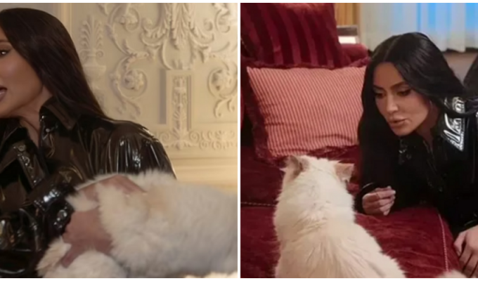 Kim Kardashian planned to appear at the Met Gala with Lagerfeld's cat, but the fluffy one had other plans (2 photos + 1 video)