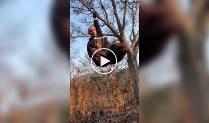 Чтение утром успокаивает