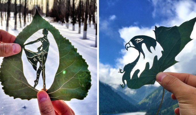 Художник создает невероятные картины из листьев (22 фото)