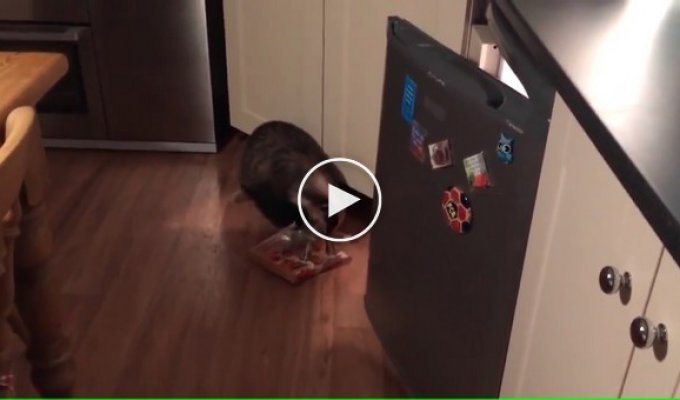 Барсук решил проверить холодильник