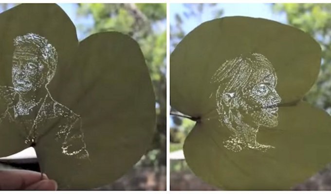 Художница превращает обычные листья в произведения искусства (5 фото + 1 видео)