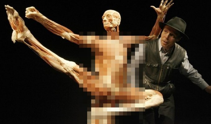 Exhibition "Body Worlds" - art or mockery? (16 photos)