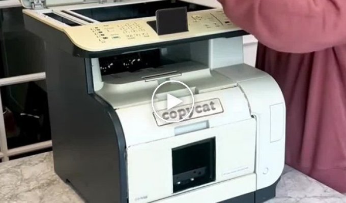 Новое чудо изобретение - кото-принтер