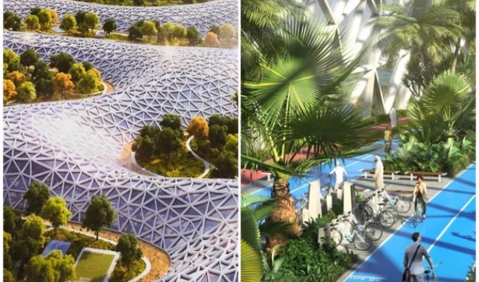 В Дубае анонсировали строительство 93-километрового пешеходного туннеля (7 фото + 1 видео)