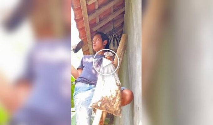 A man decided to remove a huge wasp nest using an ordinary plastic bag