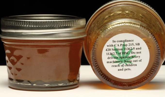 Неправильный мёд: французский пчеловод научился делать мёд из конопли (3 фото + 1 видео)