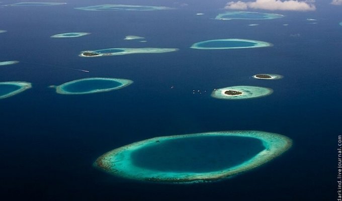 Мальдивы с высоты (34 фото)