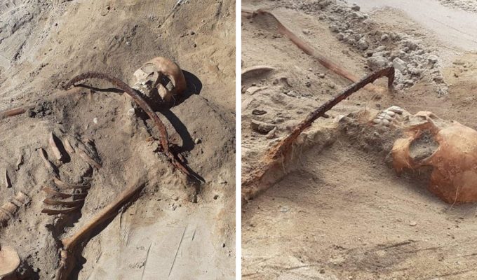 В Польше нашли скелет «вампирши» с серпом поперек горла, мешающим ей восстать из мертвых (8 фото)