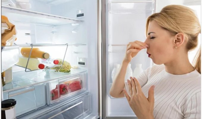 Безвредная плесень, Какие подпорченные продукты можно смело употреблять в пищу (6 фото)