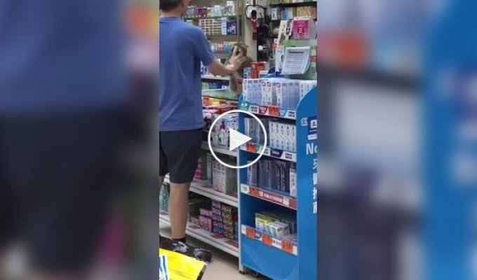 Мужчина пристает к пушистому сотруднику магазина