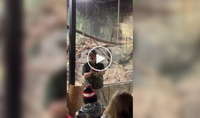 Zoo keeper jokes about spectators